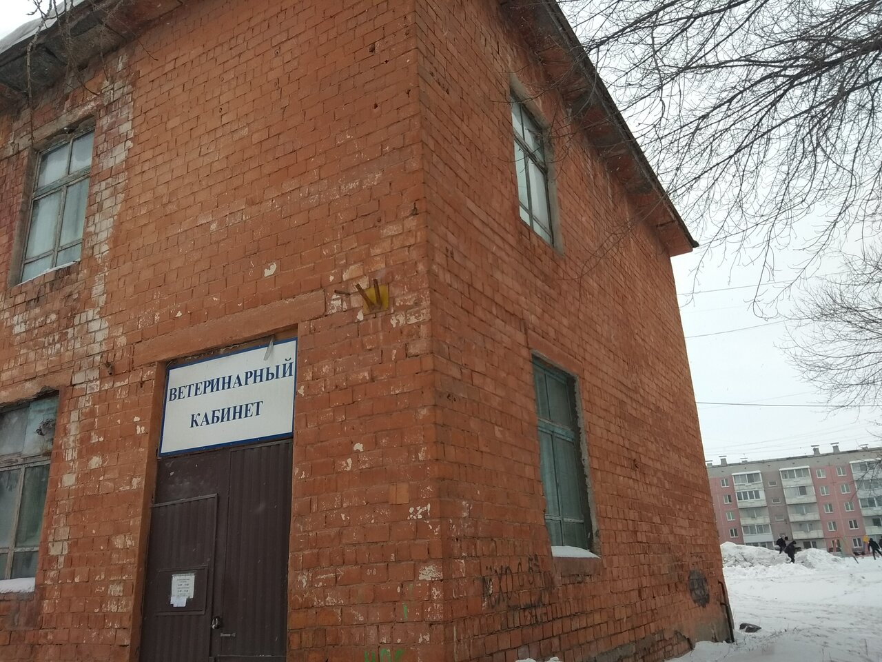 Ветеринарный кабинет