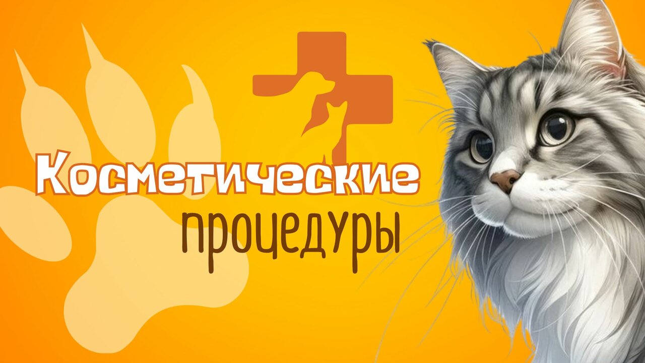 Фото клиники 11347