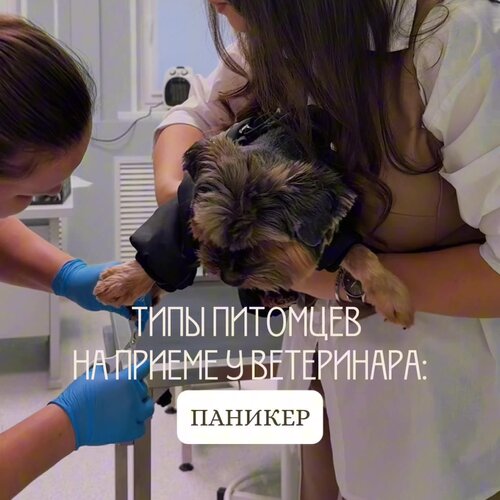 clinic general image