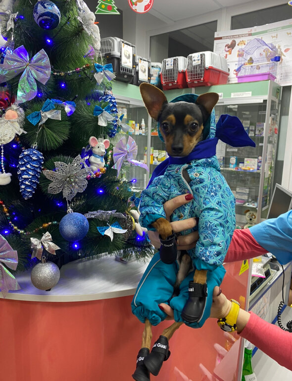 more clinic photos 20106