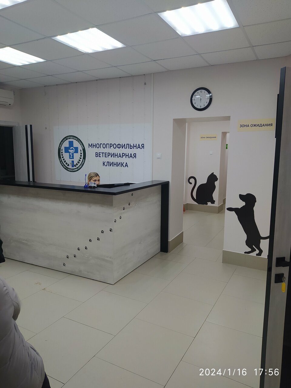 Фото клиники 18042