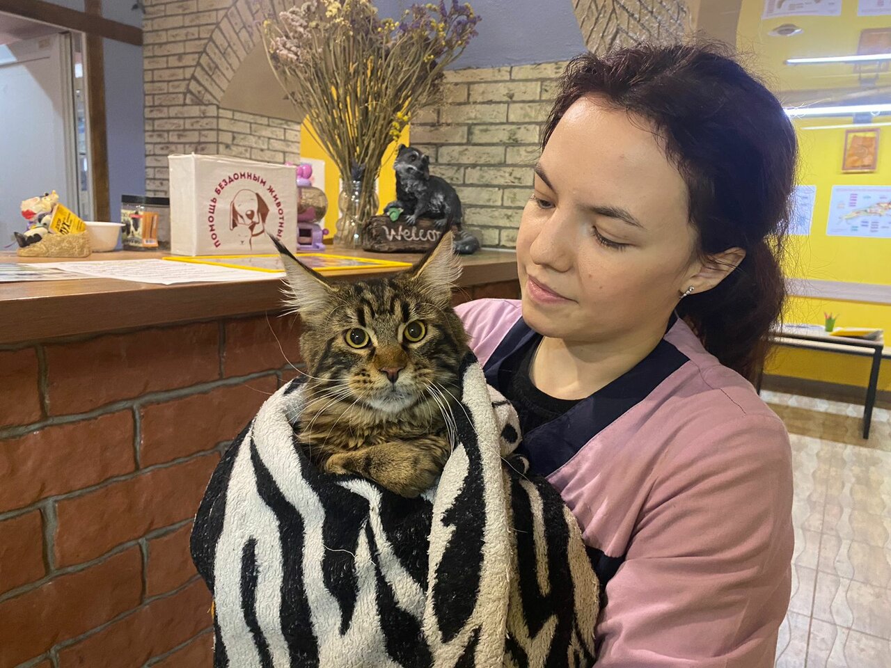 more clinic photos 37869