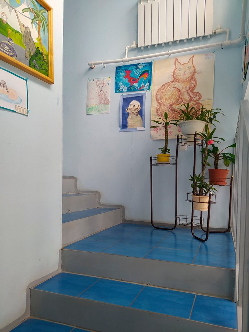 Фото клиники 599