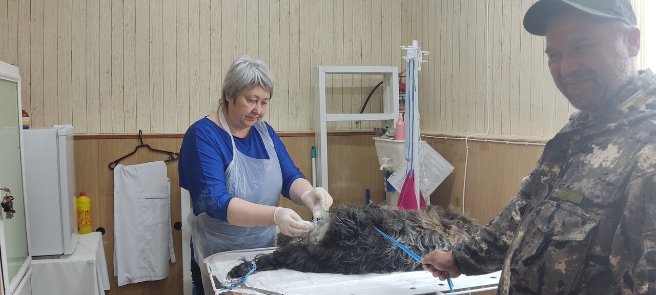 Фото клиники Илекское районное управление ветеринарии