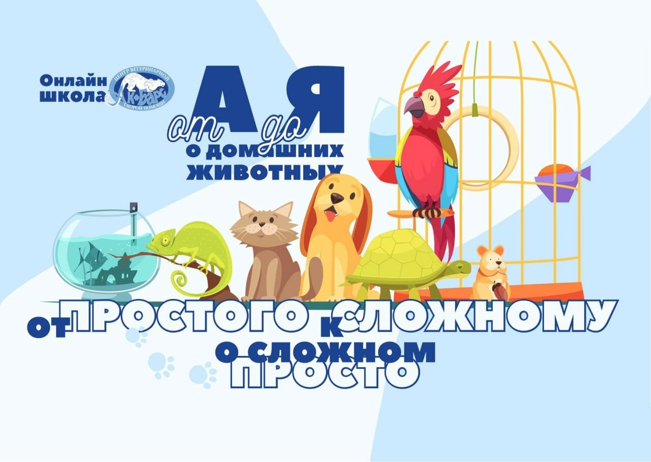 Главное фото клиники