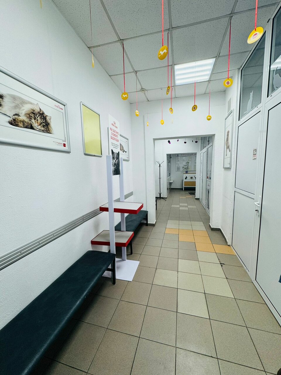 Фото клиники 28254