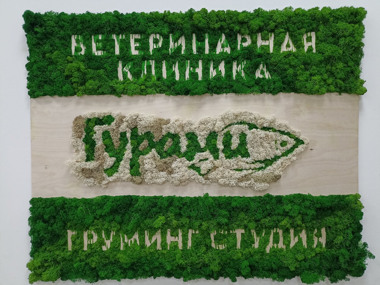 clinic general image