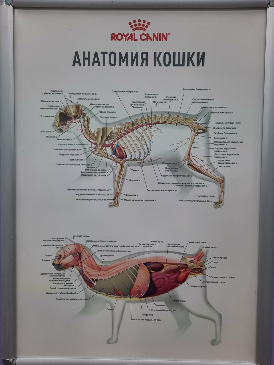 Фото клиники 30761