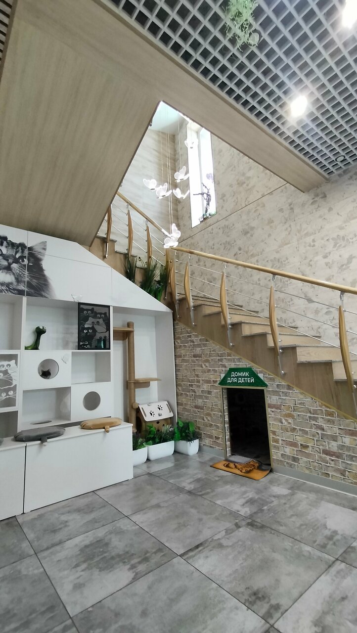 more clinic photos 50803