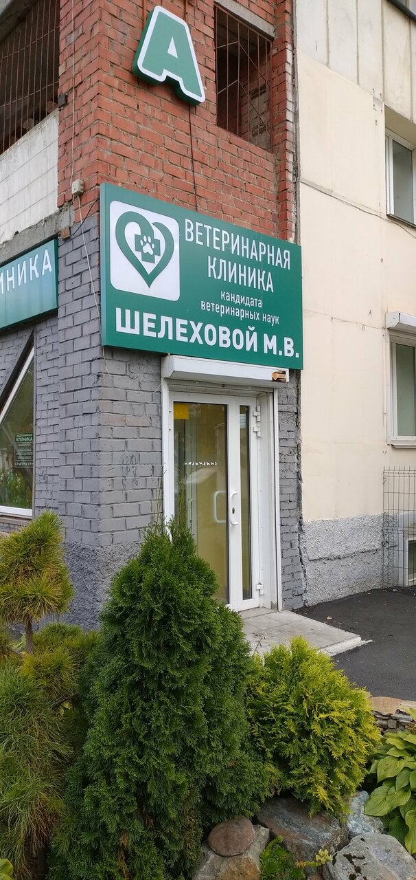 Фото клиники 51729