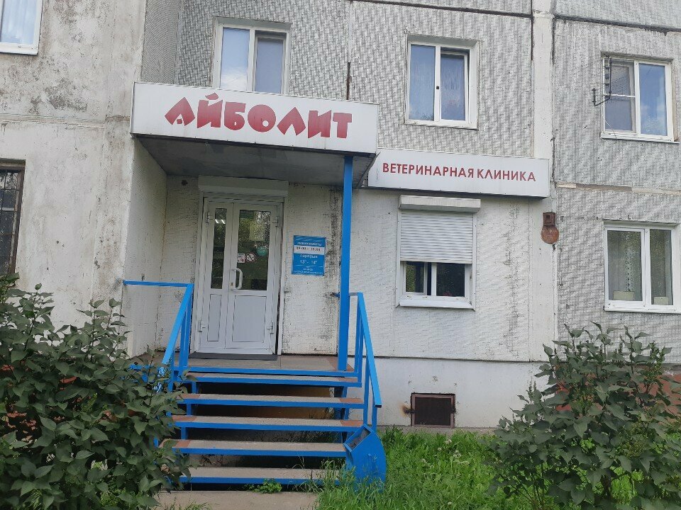 Фото клиники Айболит