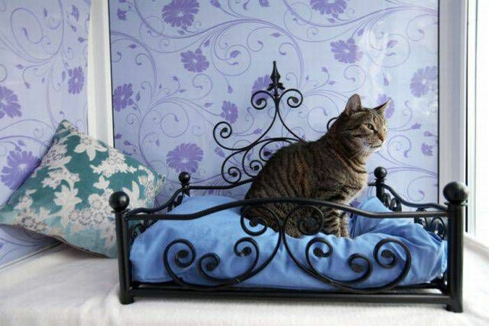 clinic general image