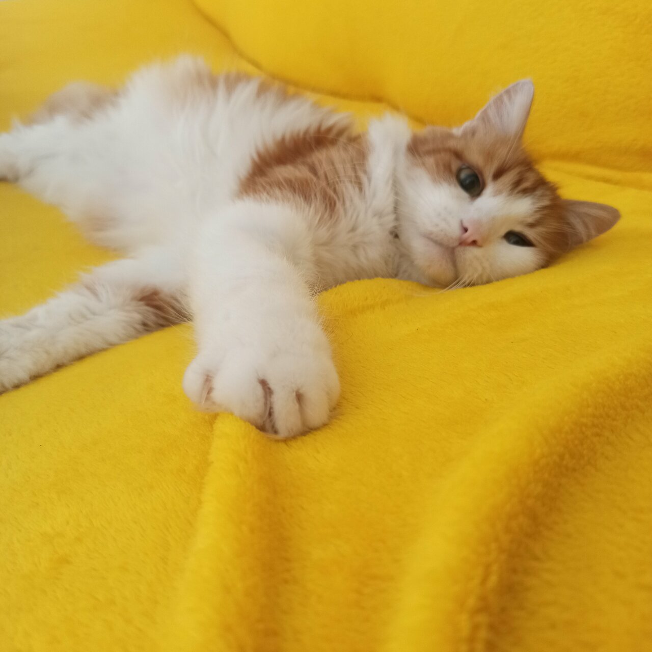 clinic general image