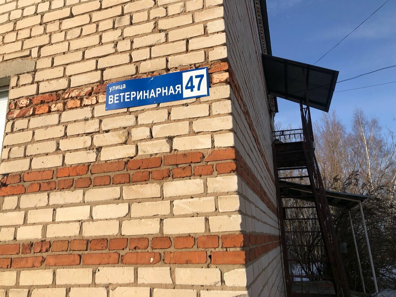 Фото клиники 29852