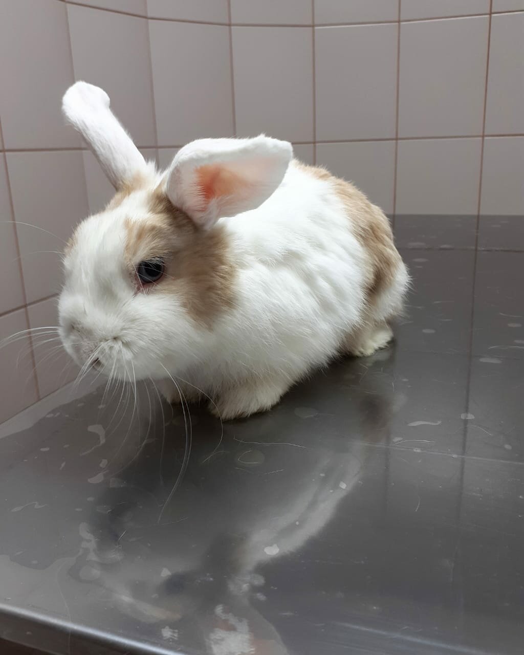 more clinic photos 14407