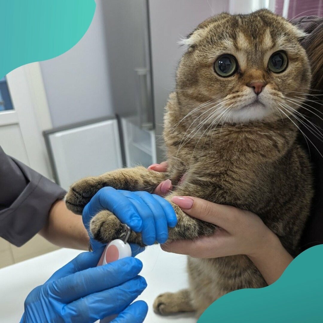 clinic general image