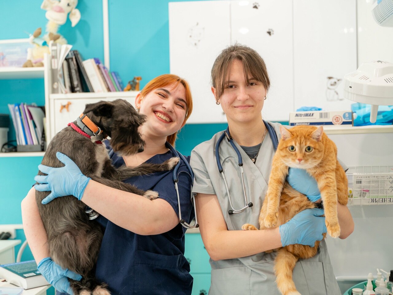 Веткабинет