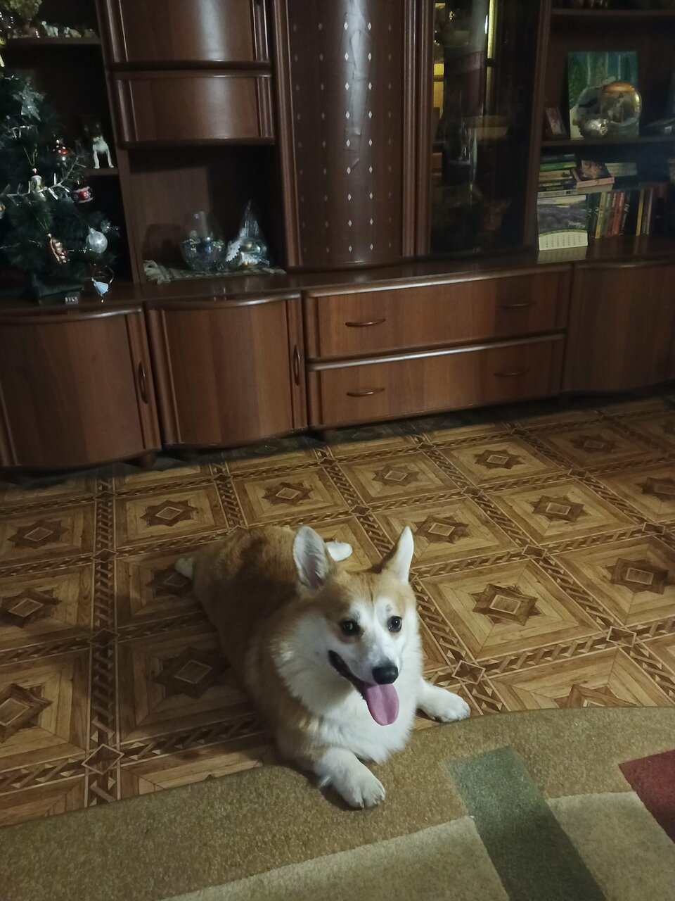 Фото клиники 55524