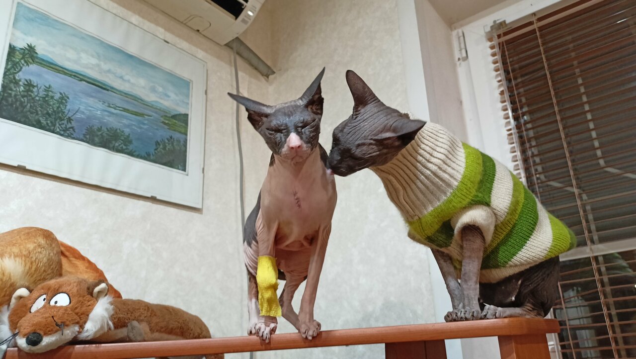 more clinic photos 19493