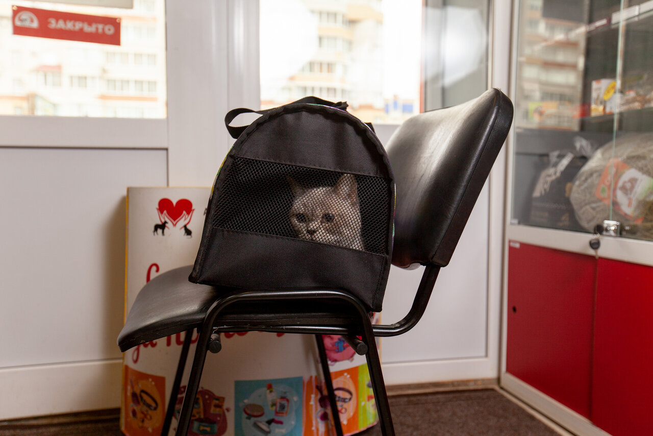 more clinic photos 11278