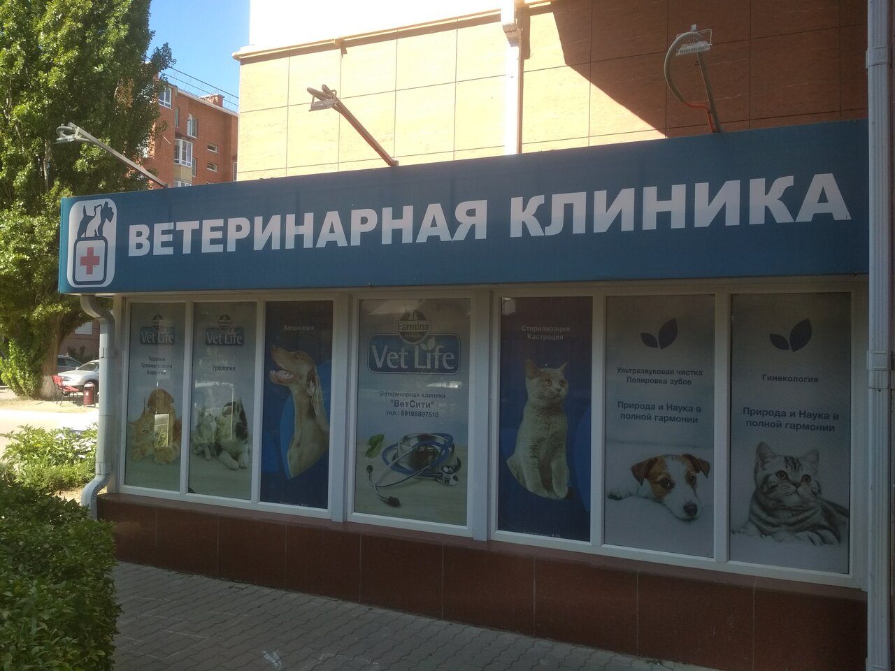Фото клиники 33630