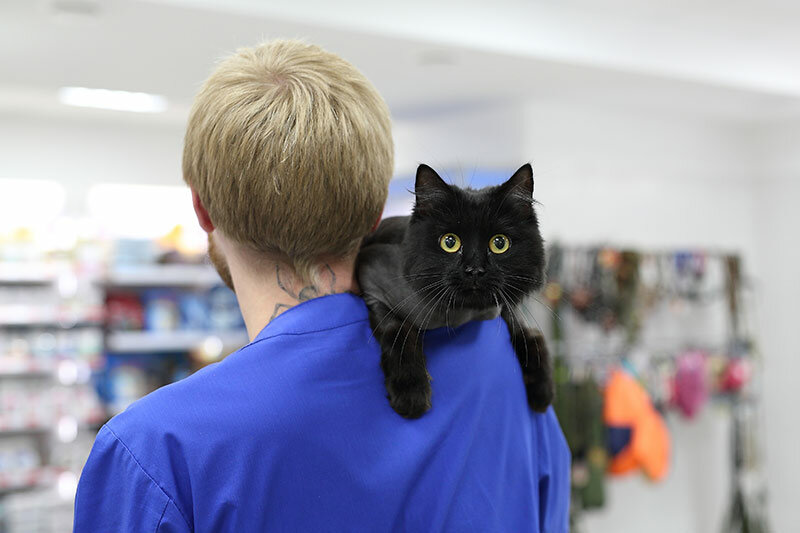 clinic general image