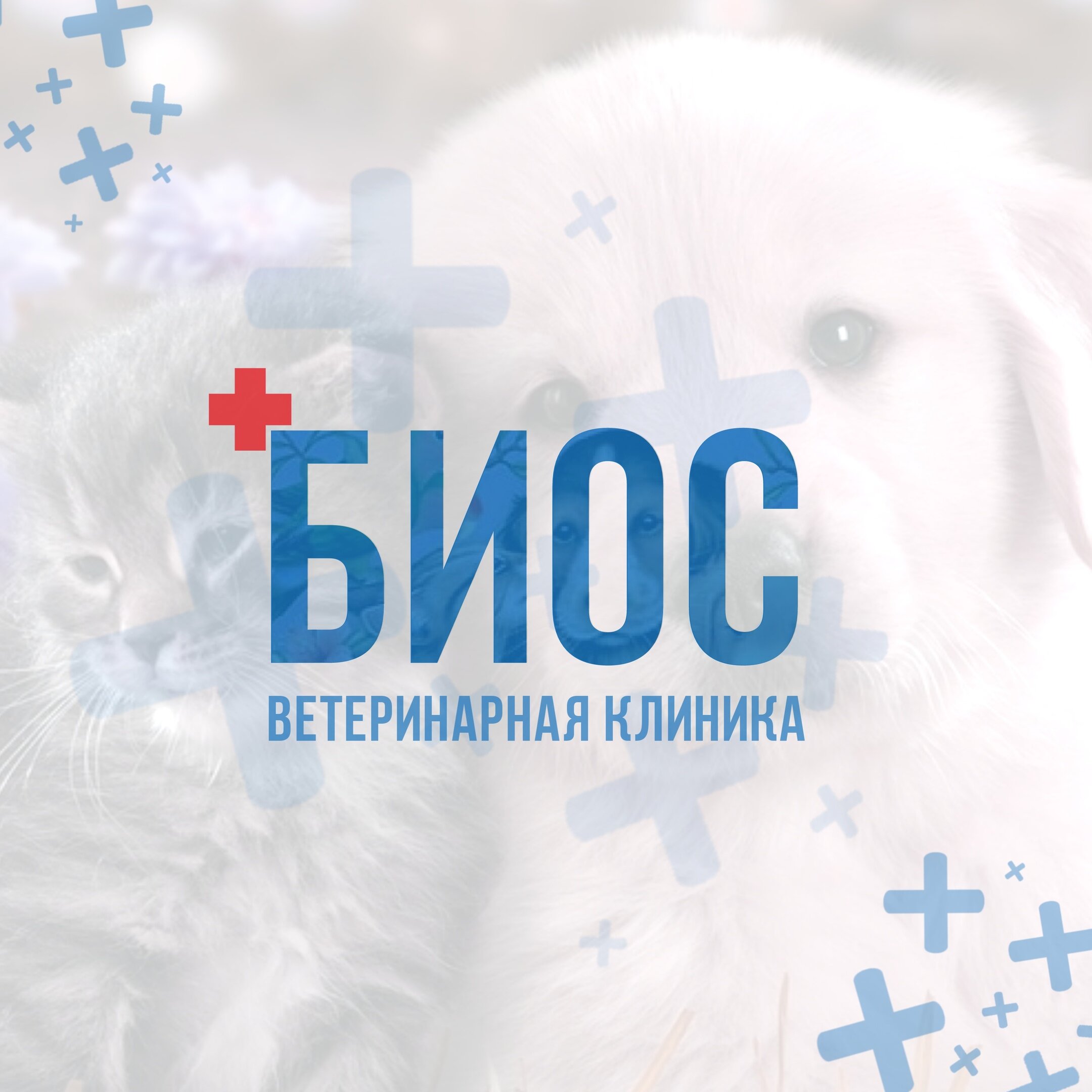 clinic logo