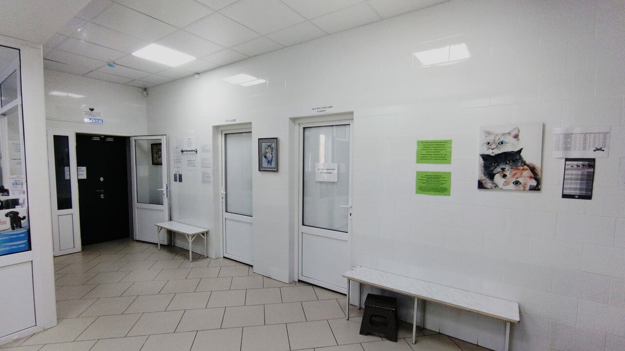 Ветеринарная клиника
