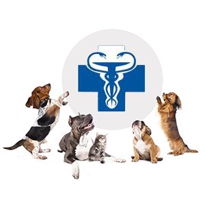 clinic logo