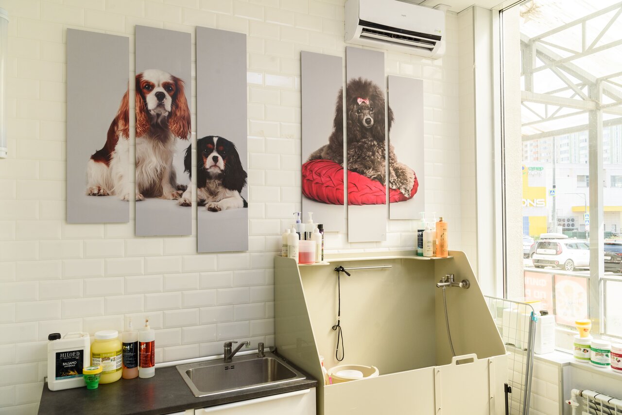 more clinic photos 13821