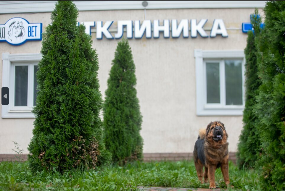 Фото клиники 68376
