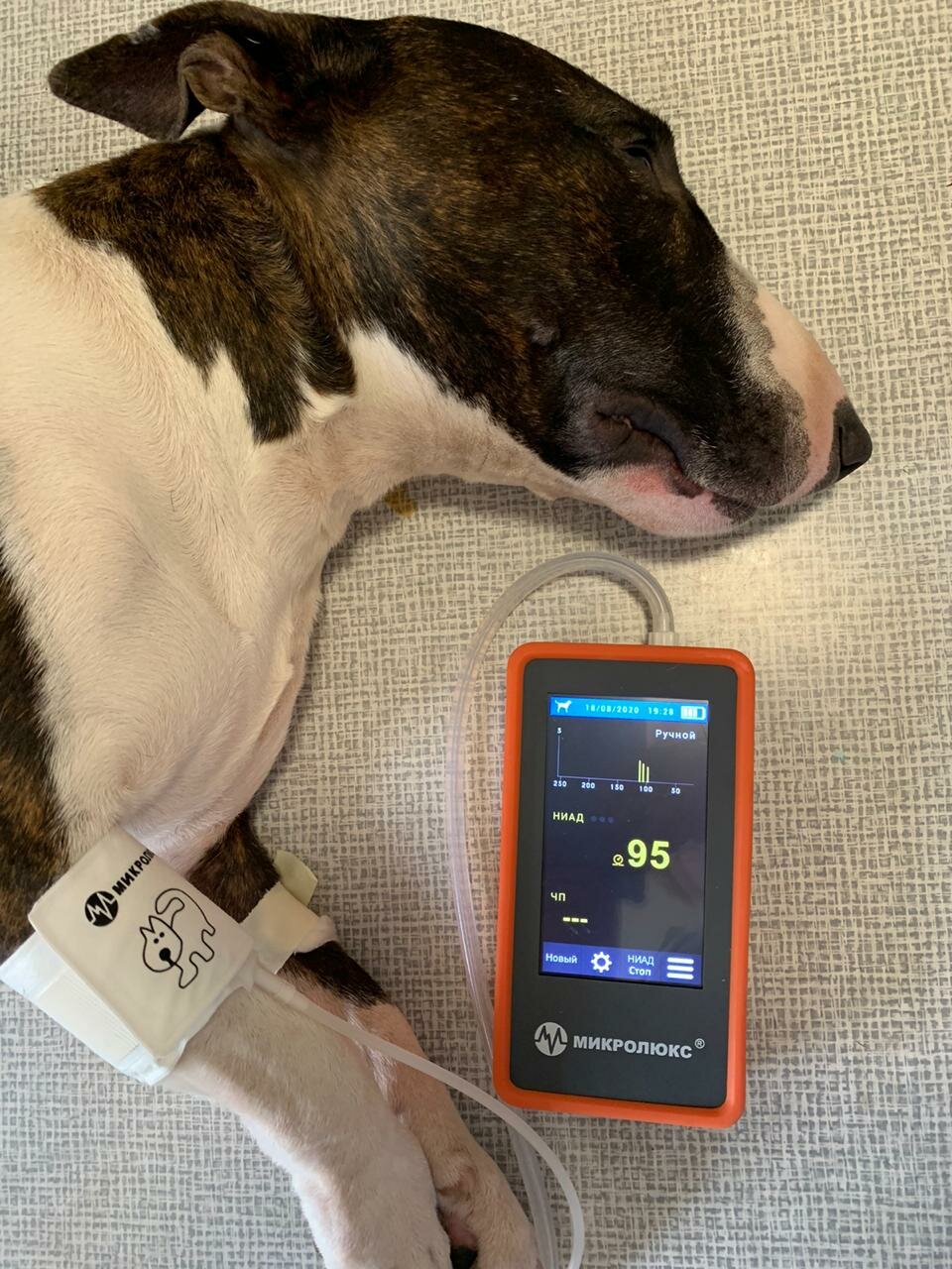 more clinic photos 4019