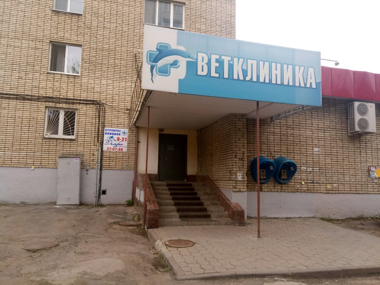 Фото «Дельфин»