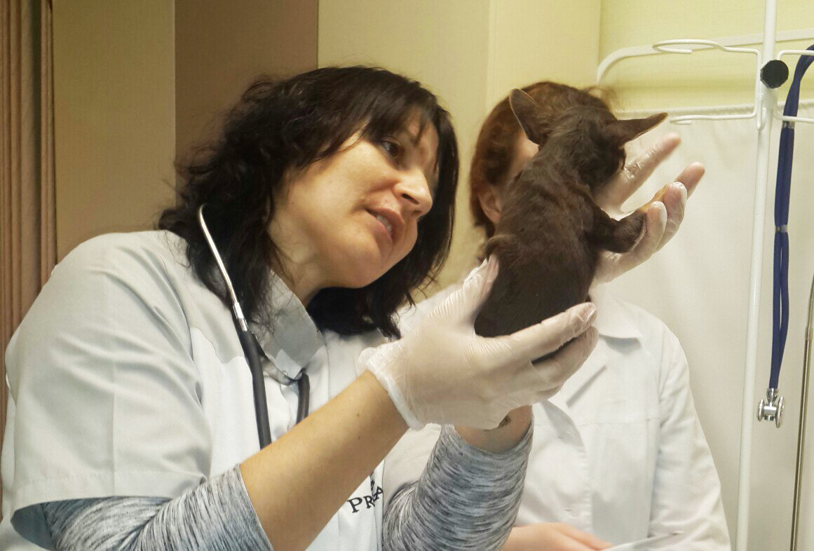 clinic general image