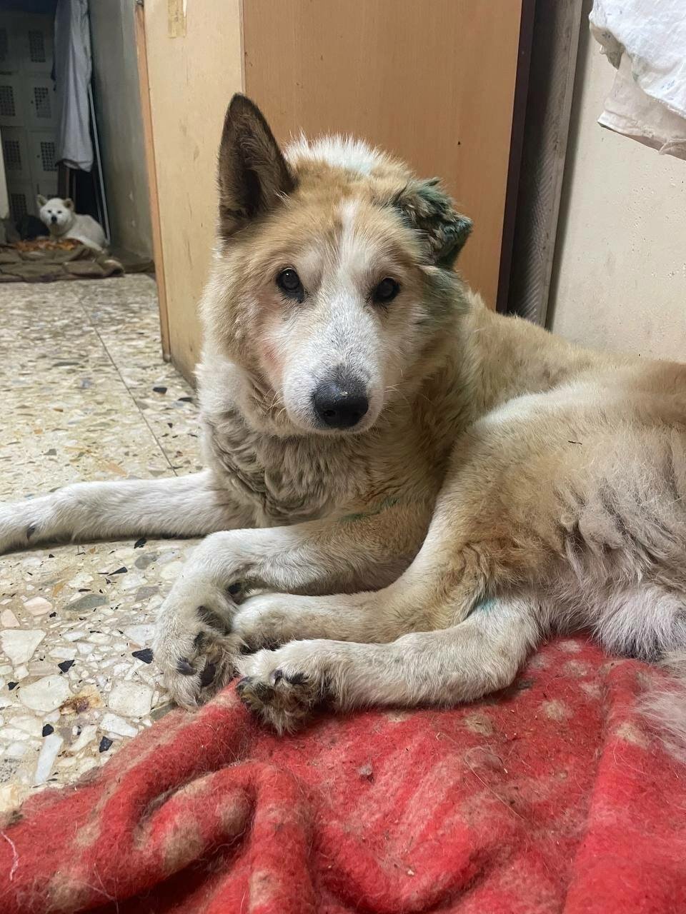 more clinic photos 80861