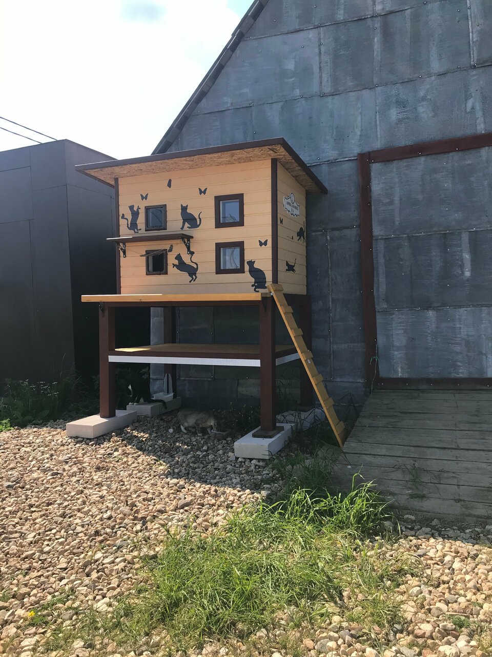 more clinic photos 1049