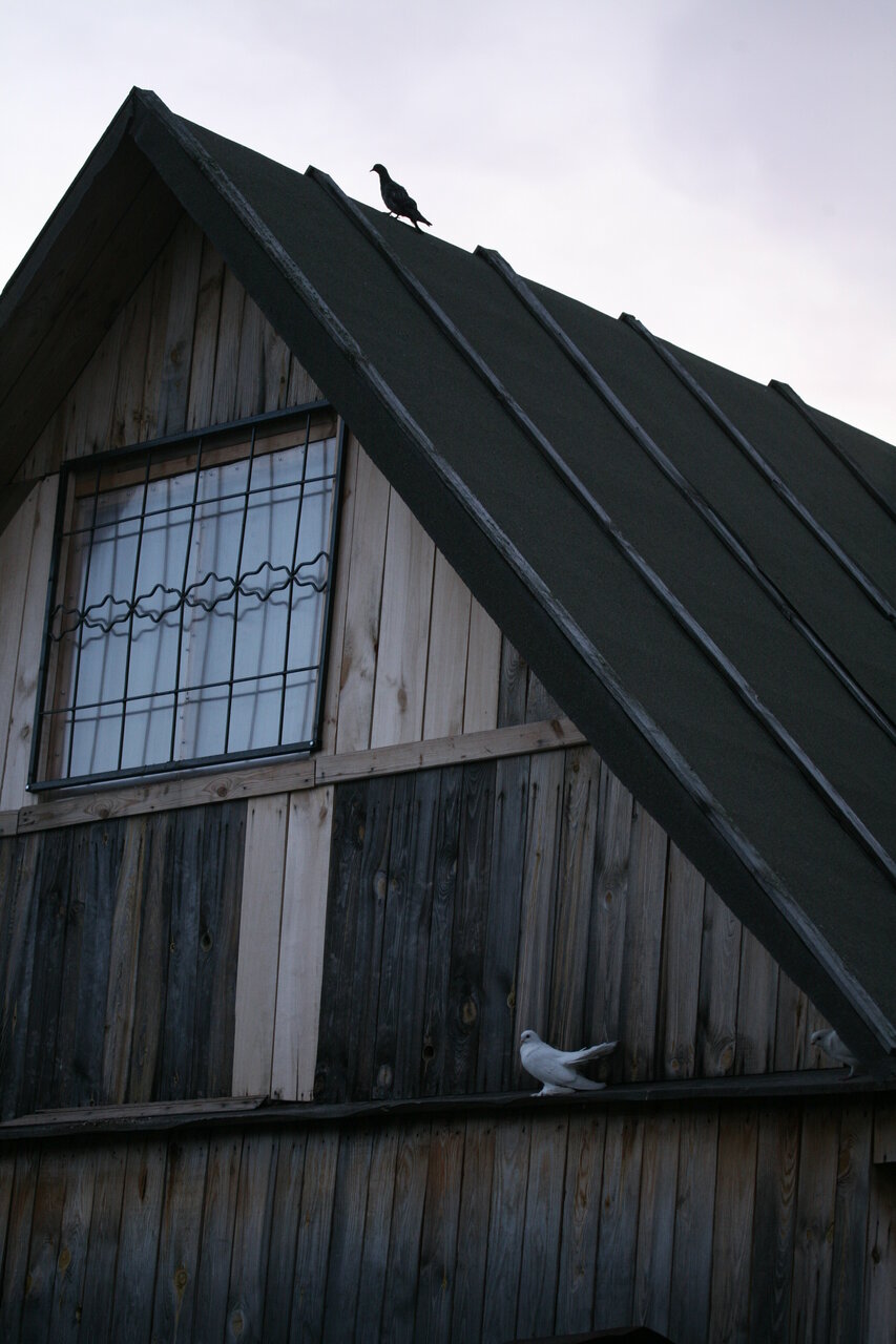 Фото клиники 71588