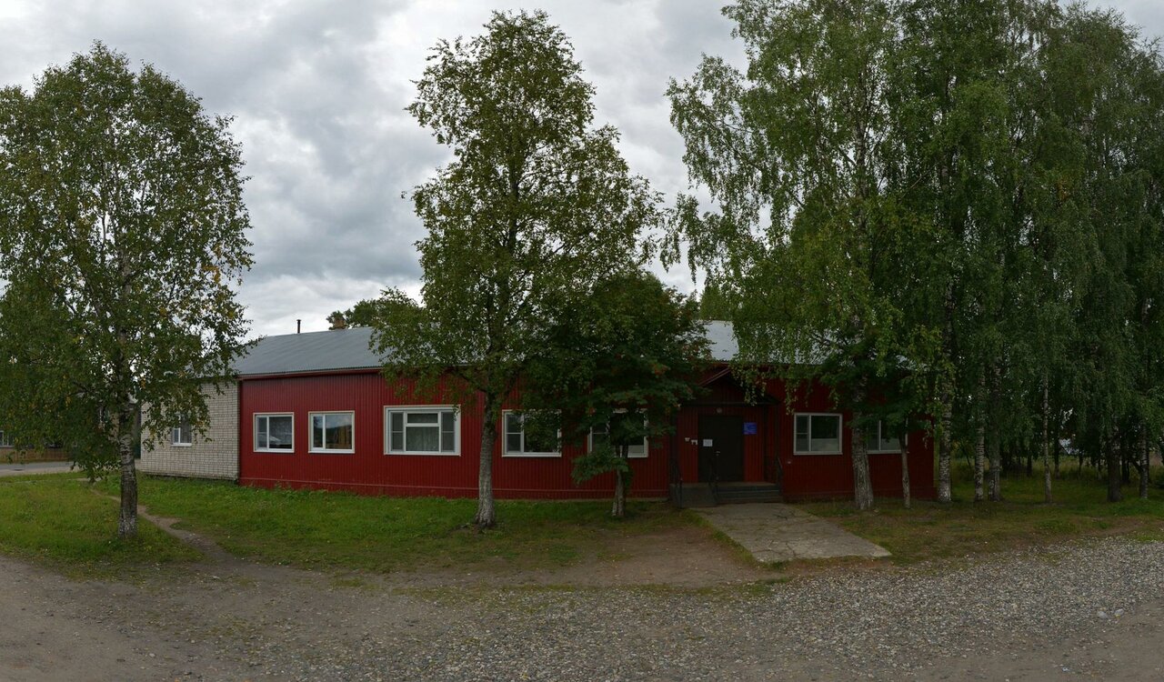 Няндомская участковая ветеринарная лечебница