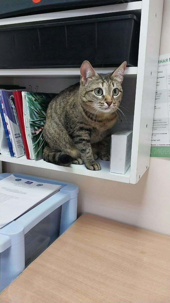 more clinic photos 1614