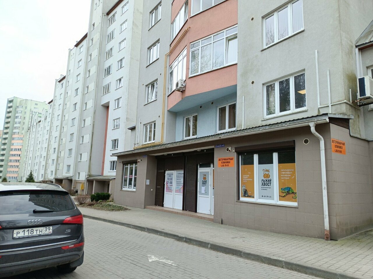 Рыжий хвост