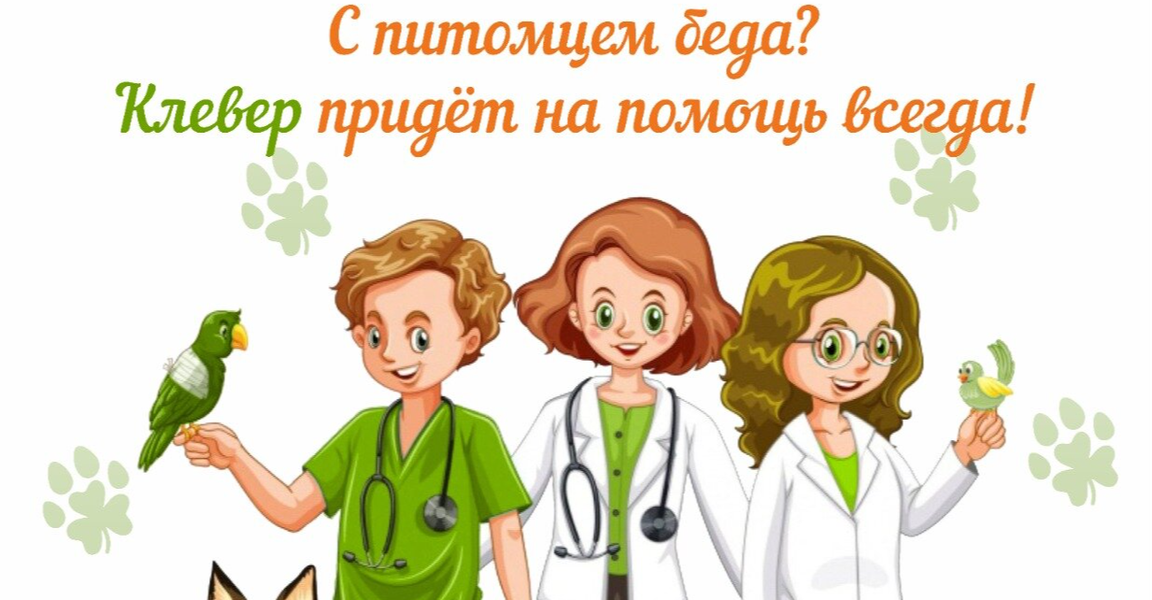 Фото «Клевер»