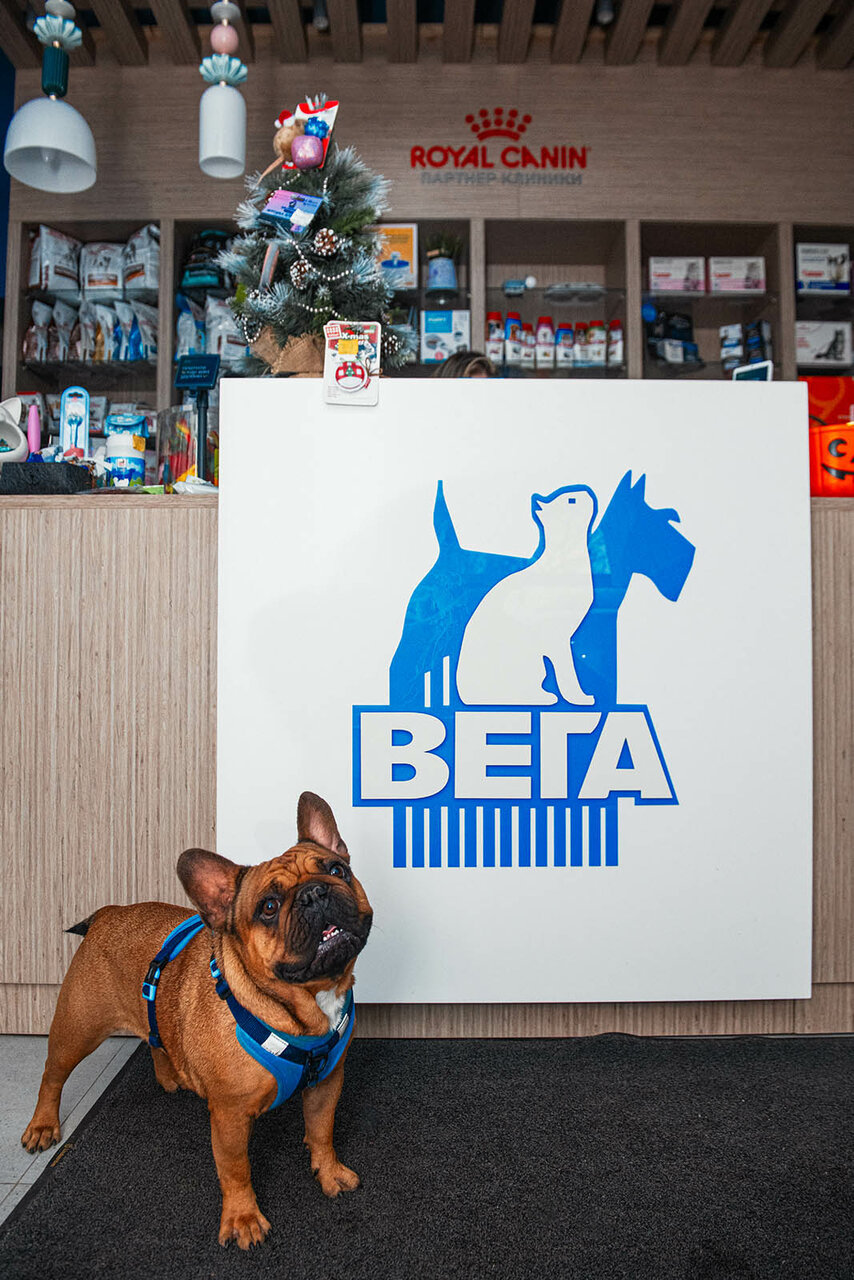 more clinic photos 17442