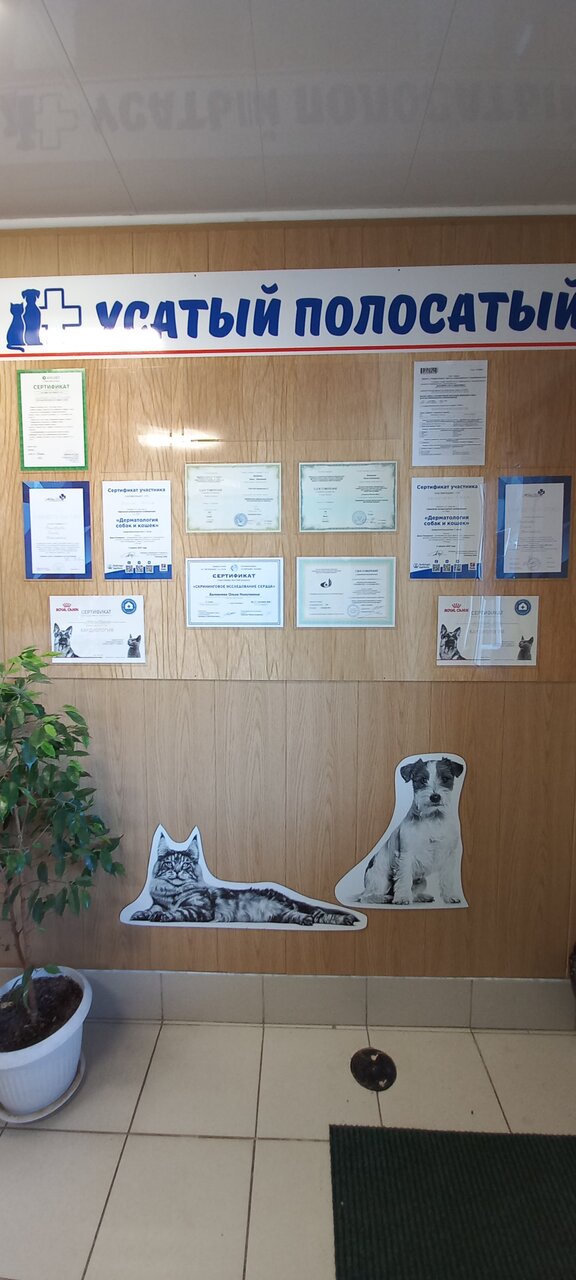 more clinic photos 42662