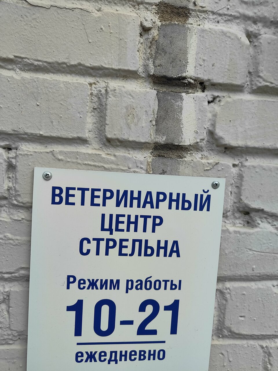 Фото клиники 34531