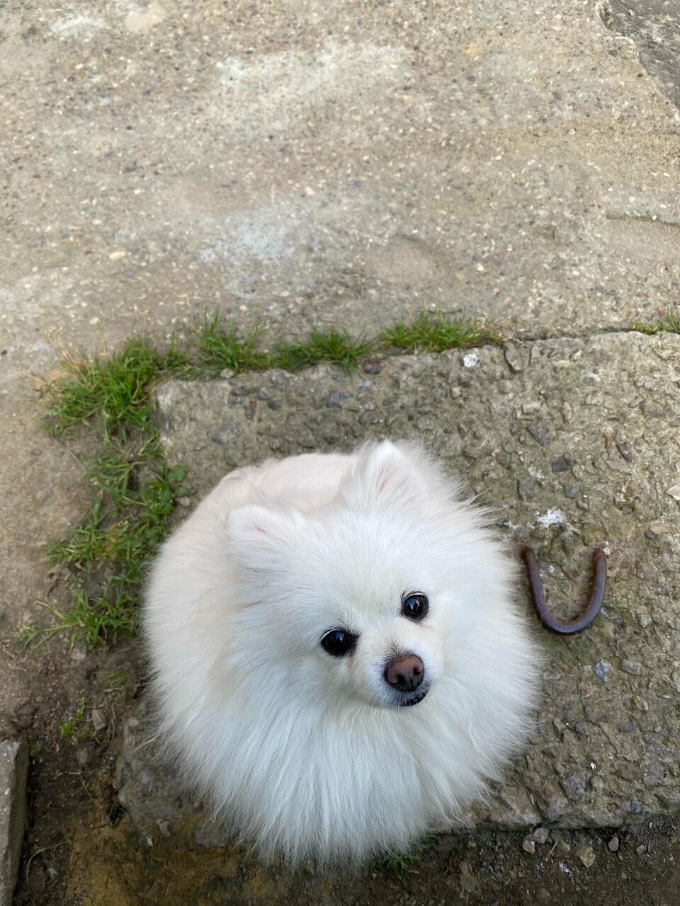 more clinic photos 626