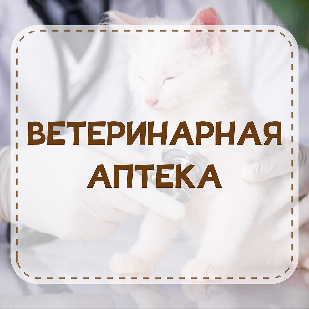 more clinic photos 10470