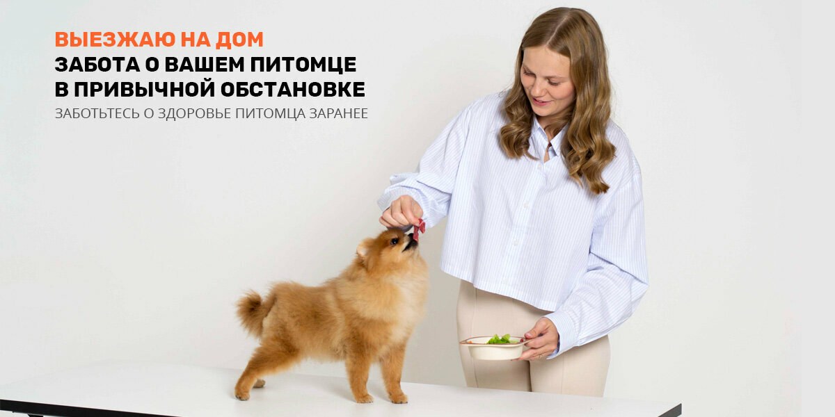 Ветконтроль