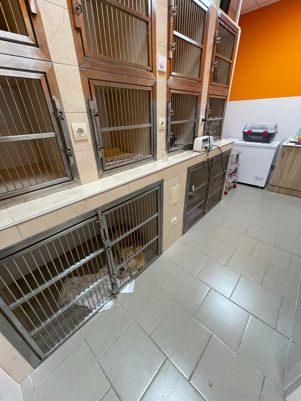 Фото клиники 71745
