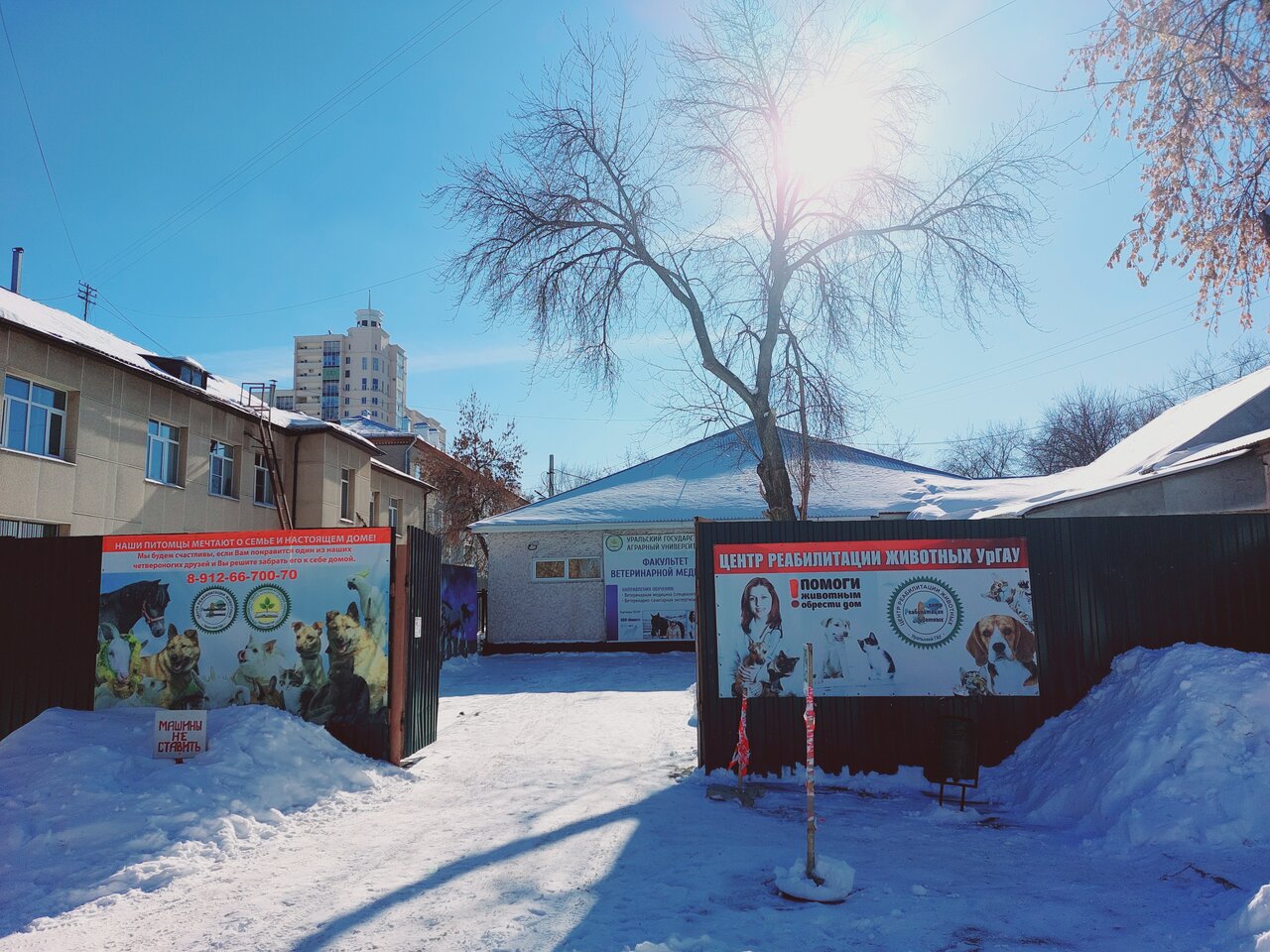 Фото клиники 26283
