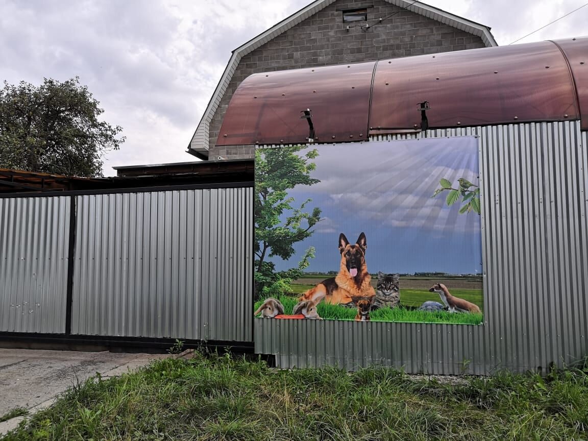 Фото клиники 69887